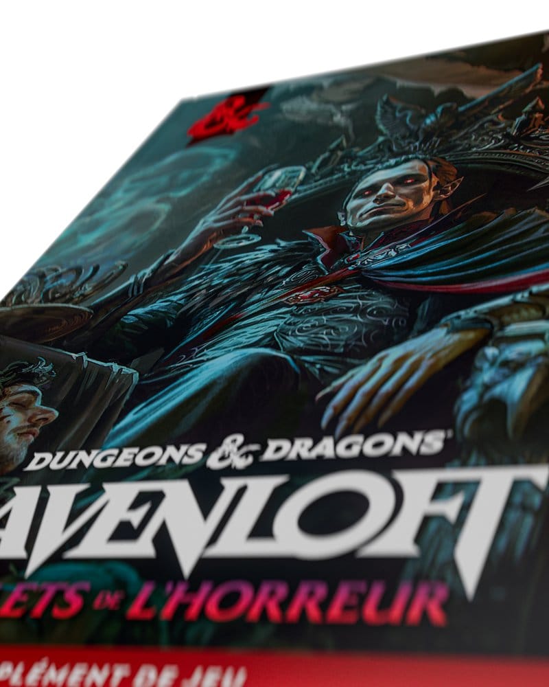 Dungeons & Dragons RPG Ravenloft: Les Reflets de l'Horreur livre *FRANÇAIS*