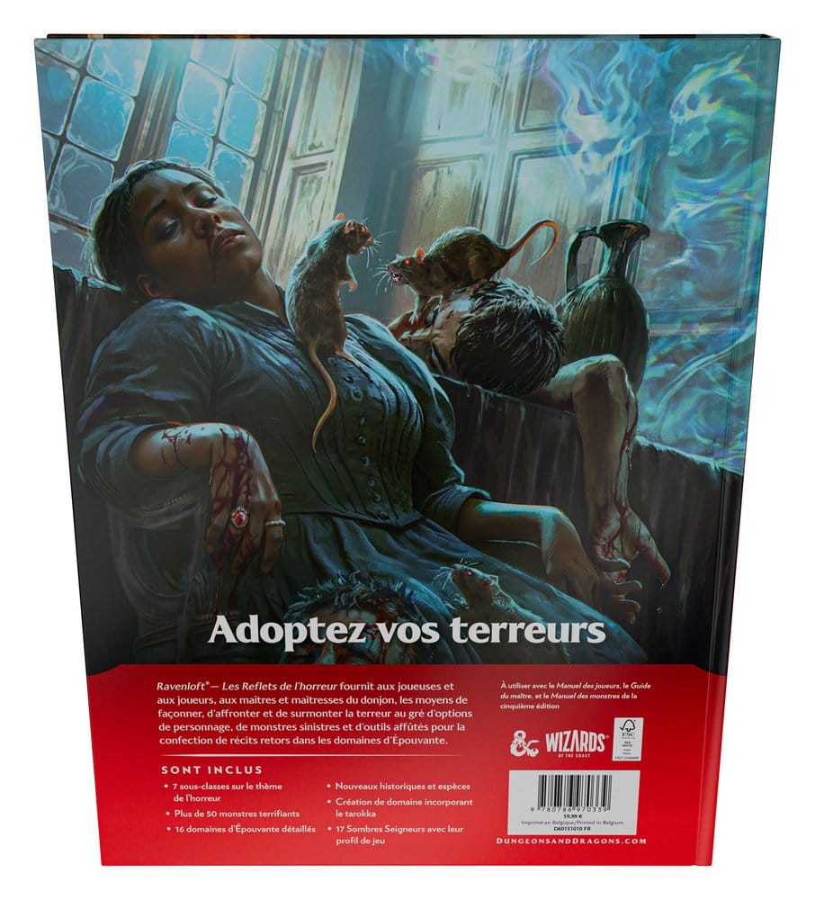 Dungeons & Dragons RPG Ravenloft: Les Reflets de l'Horreur livre *FRANÇAIS*