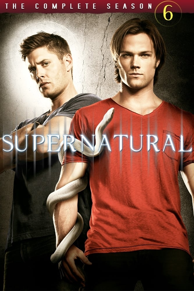 Supernatural - Saison 6  [DVD à la location]