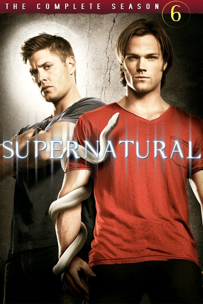 Supernatural - Saison 6 [DVD à la location] - flash vidéo