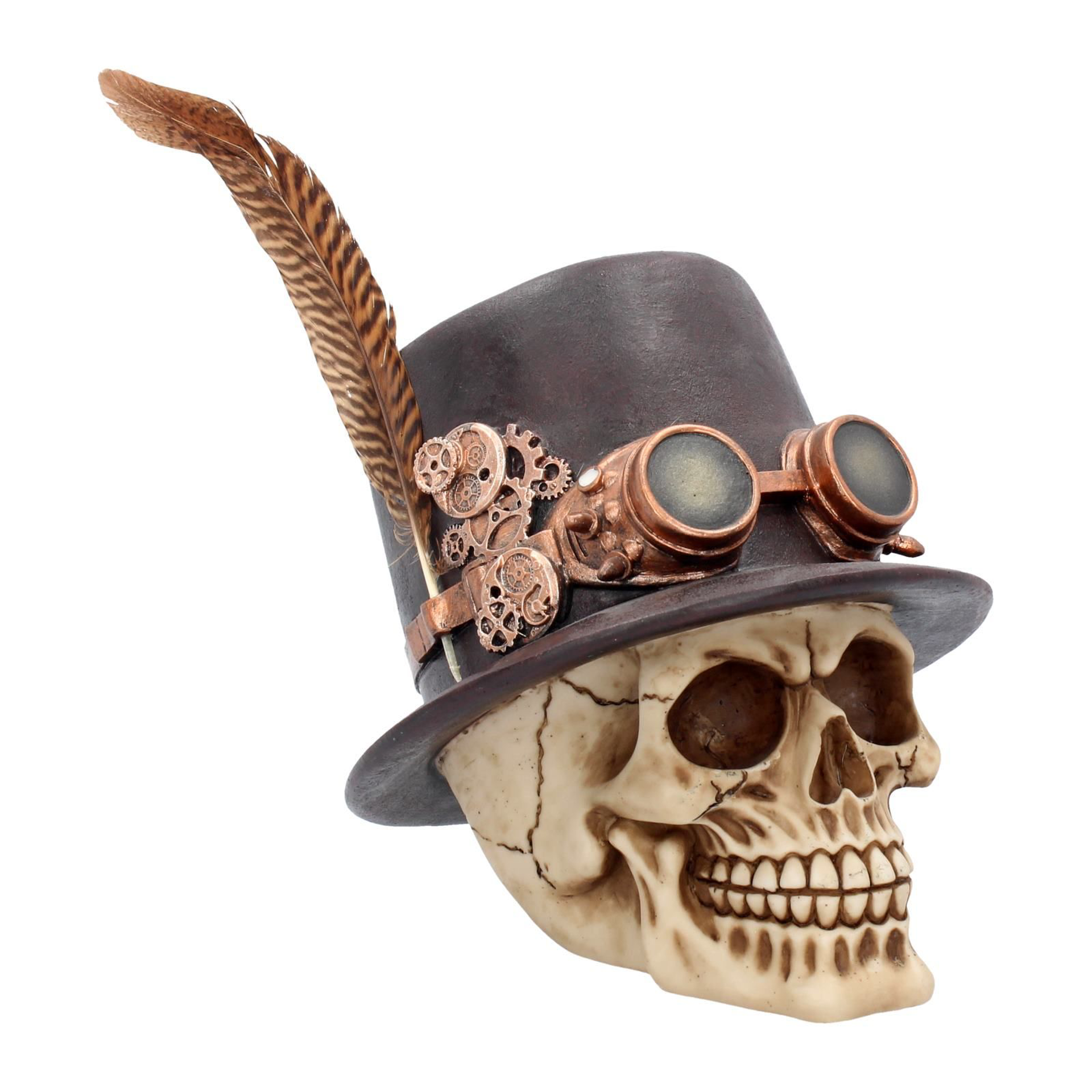 The Aristocrat Skull 18.5cm - flash vidéo