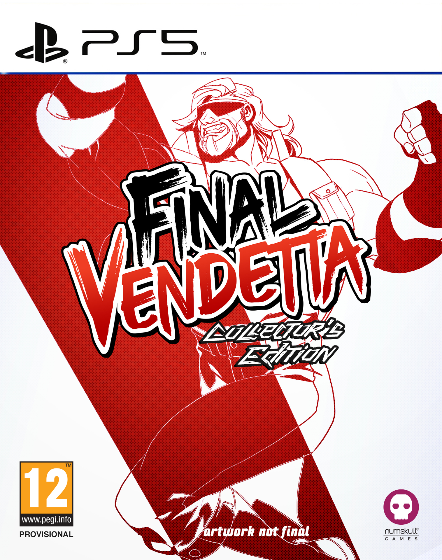 Final Vendetta Collector's Edition - flash vidéo
