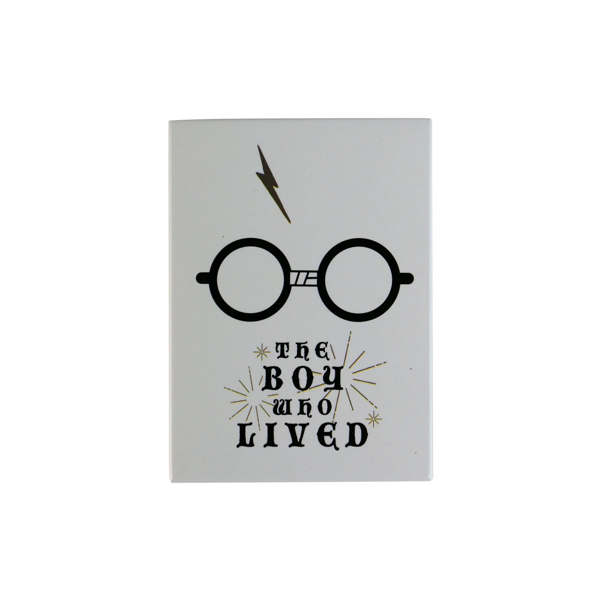 Harry Potter - Aimant en métal Le Survivant - flash vidéo