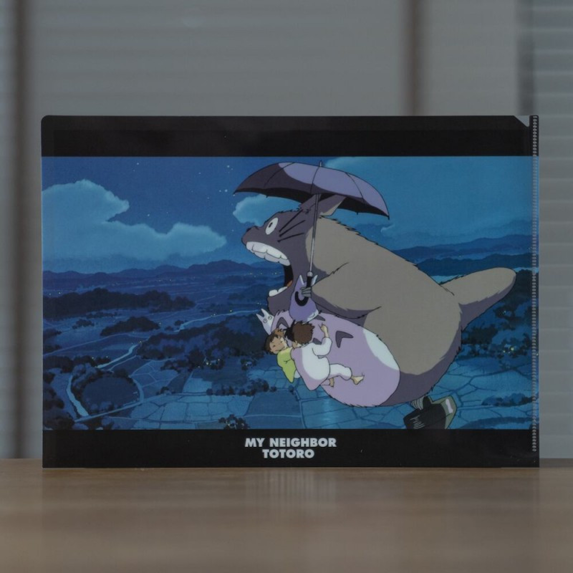 Ghibli - Mon Voisin Totoro - Chemise A4 Promenade noctune
