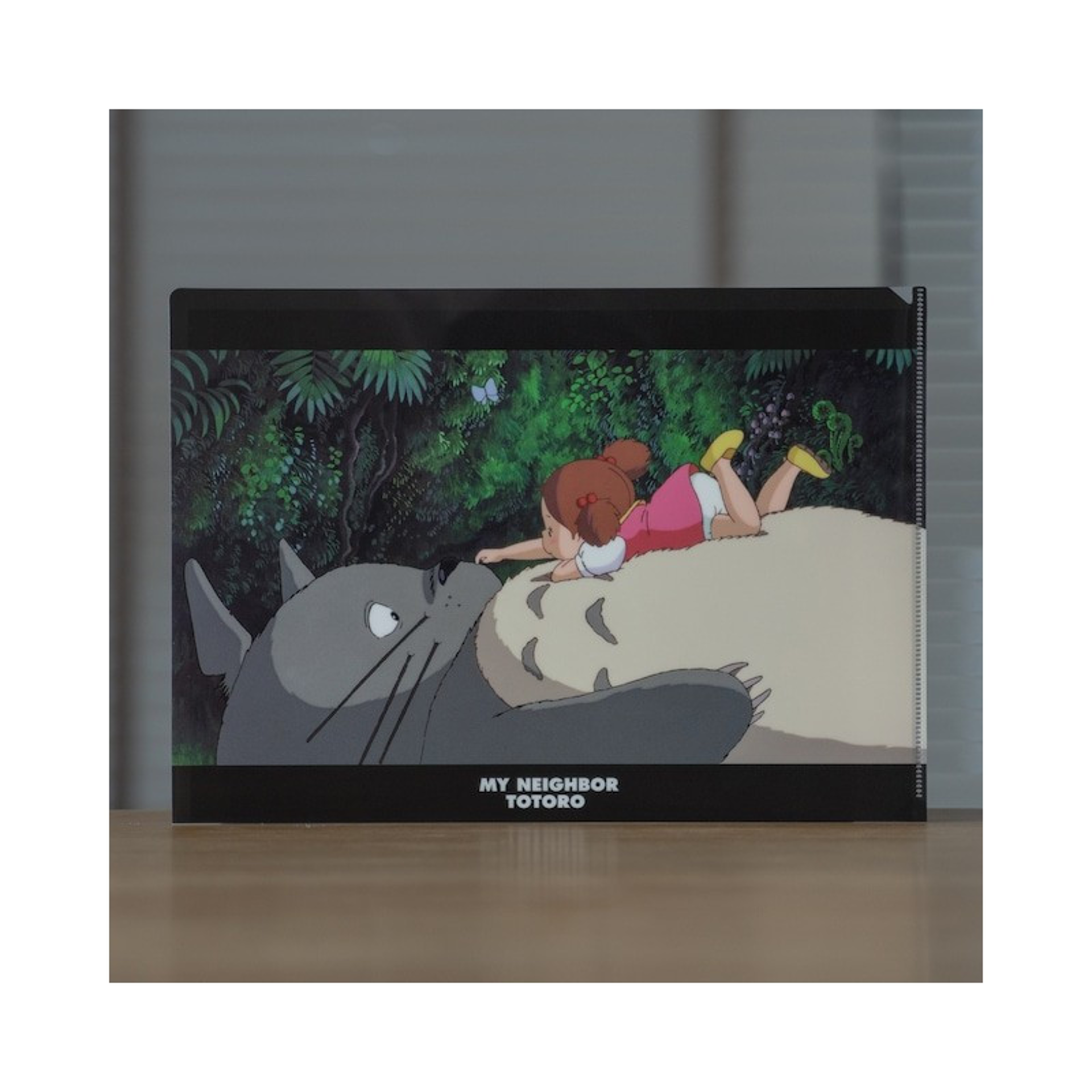 Ghibli - Mon Voisin Totoro - Chemise A4 Sur le ventre