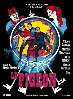 Le Pigeon [Blu-Ray] - flash vidéo