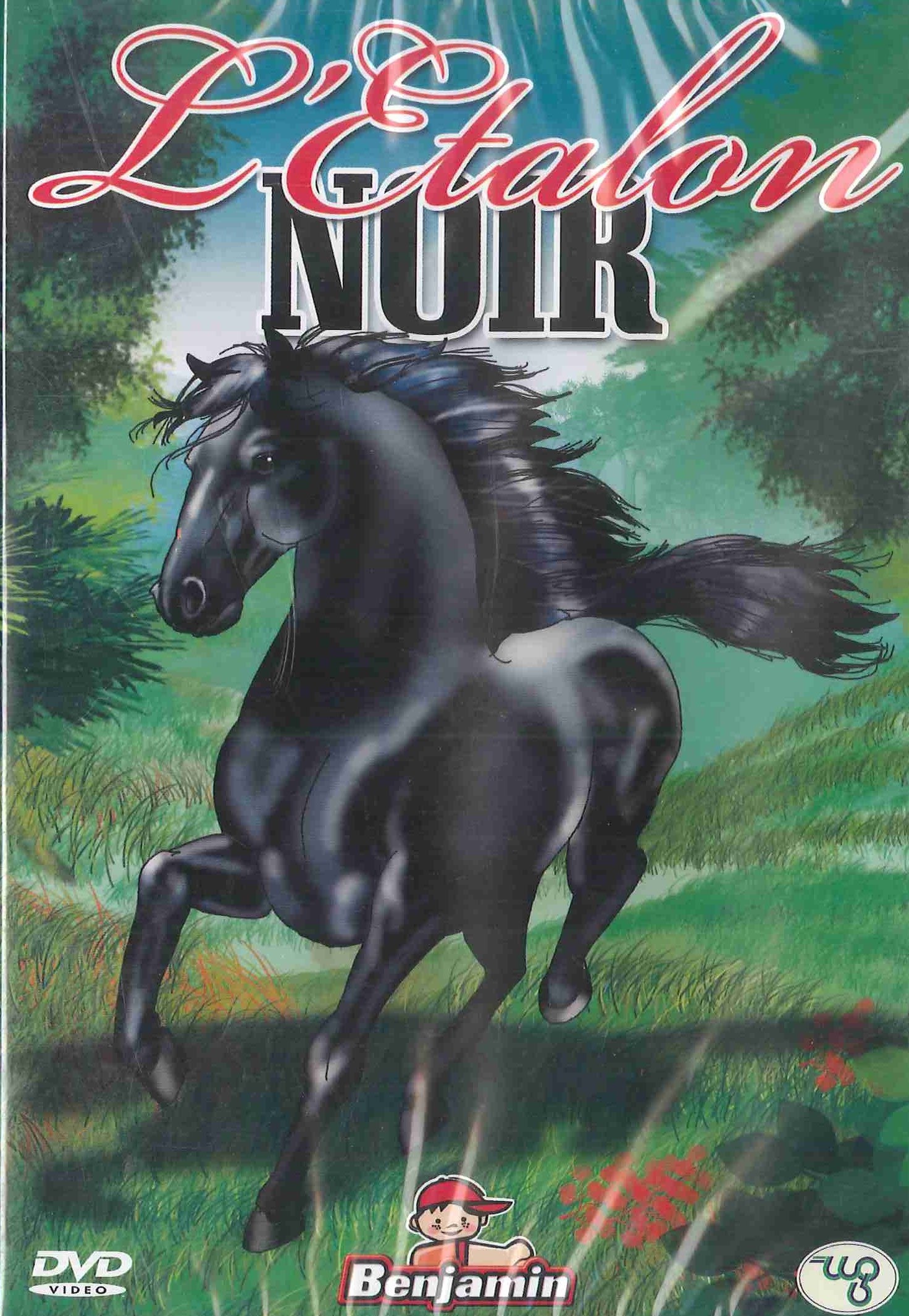 L'étalon noir [DVD] - flash vidéo