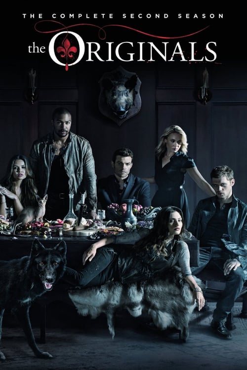The Originals - Saison 2 [DVD à la location] - flash vidéo