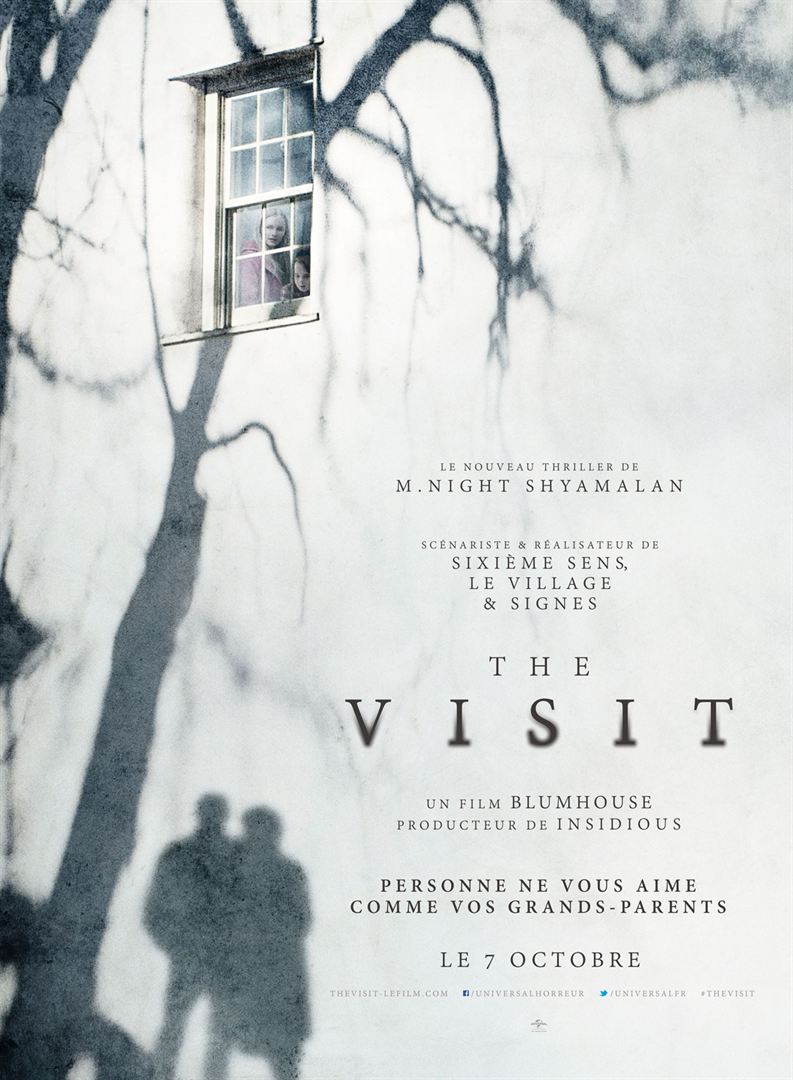 The visit [DVD à la location]