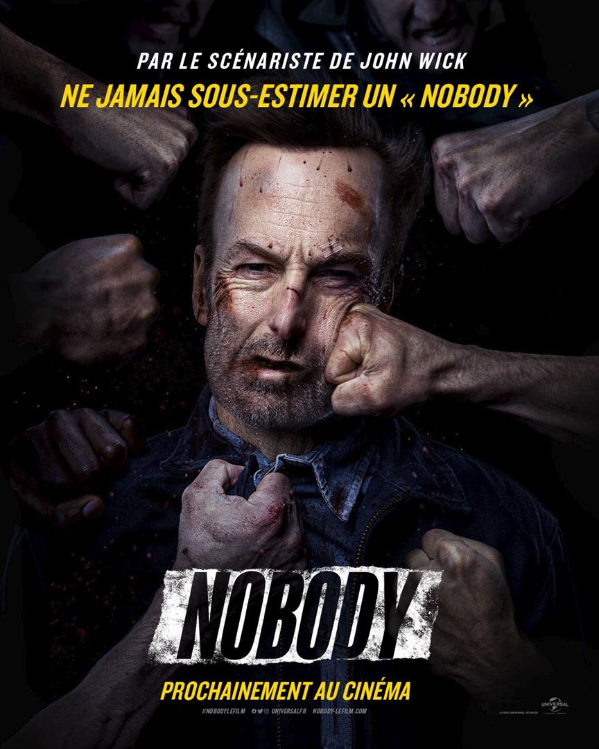 Nobody [DVD à la location] - flash vidéo