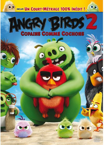 Angry Birds 2 : Copains comme cochons [DVD à la location] - flash vidéo
