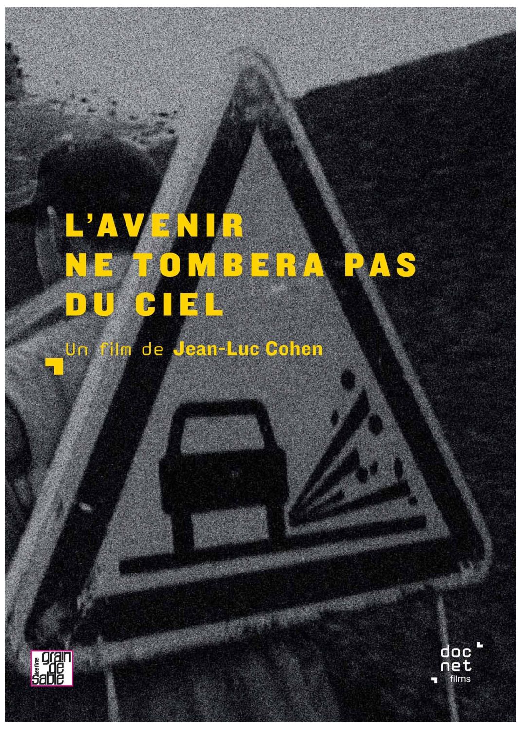 L'avenir Ne Tombera Pas Du Ciel [DVD] - flash vidéo