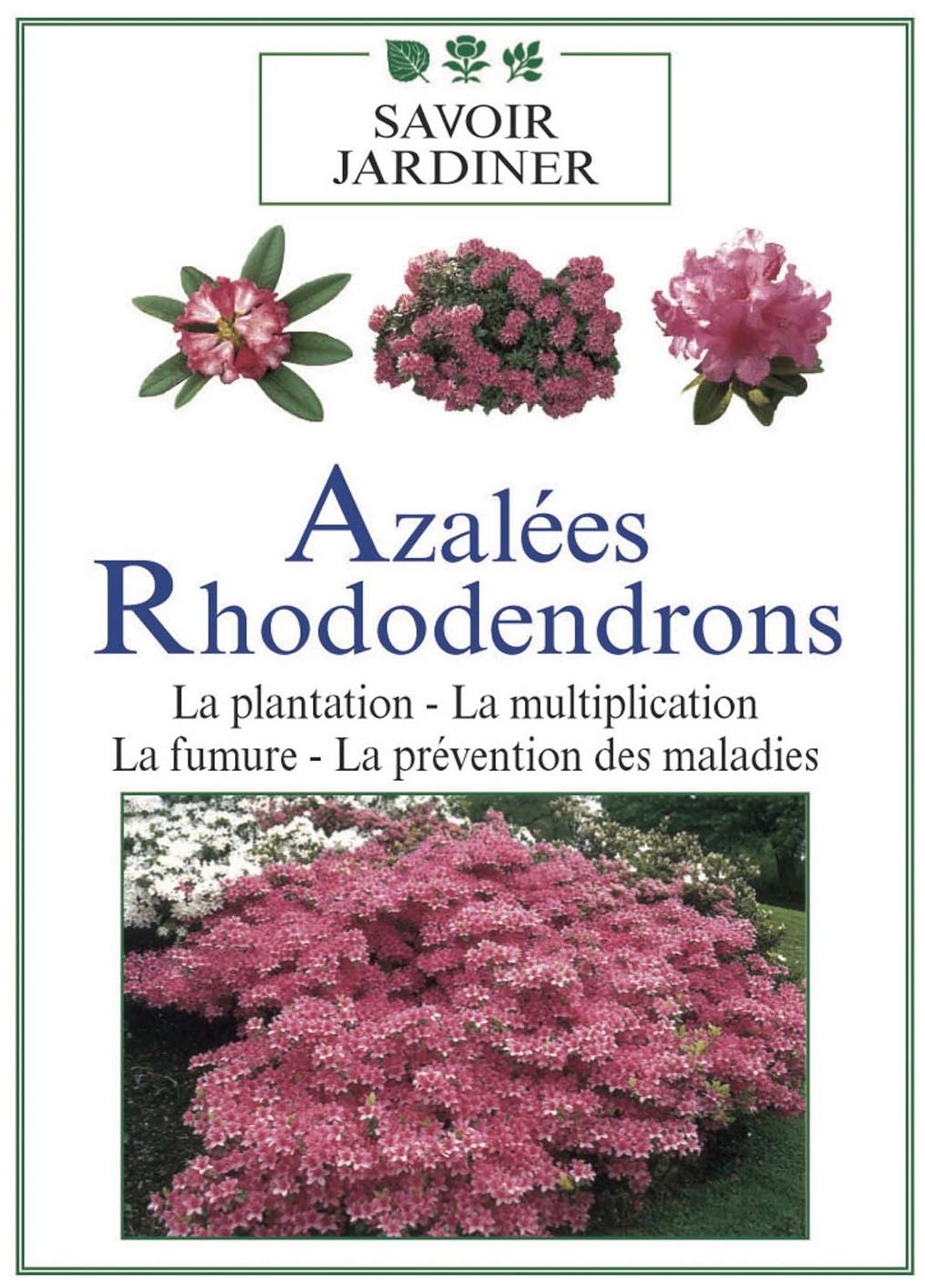 Azalées Et Rhododendrons [DVD] - flash vidéo
