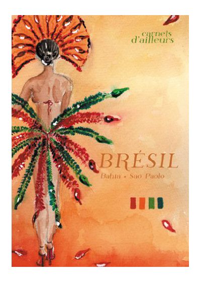 Brésil : Bahia, Sao Paulo [DVD] - flash vidéo