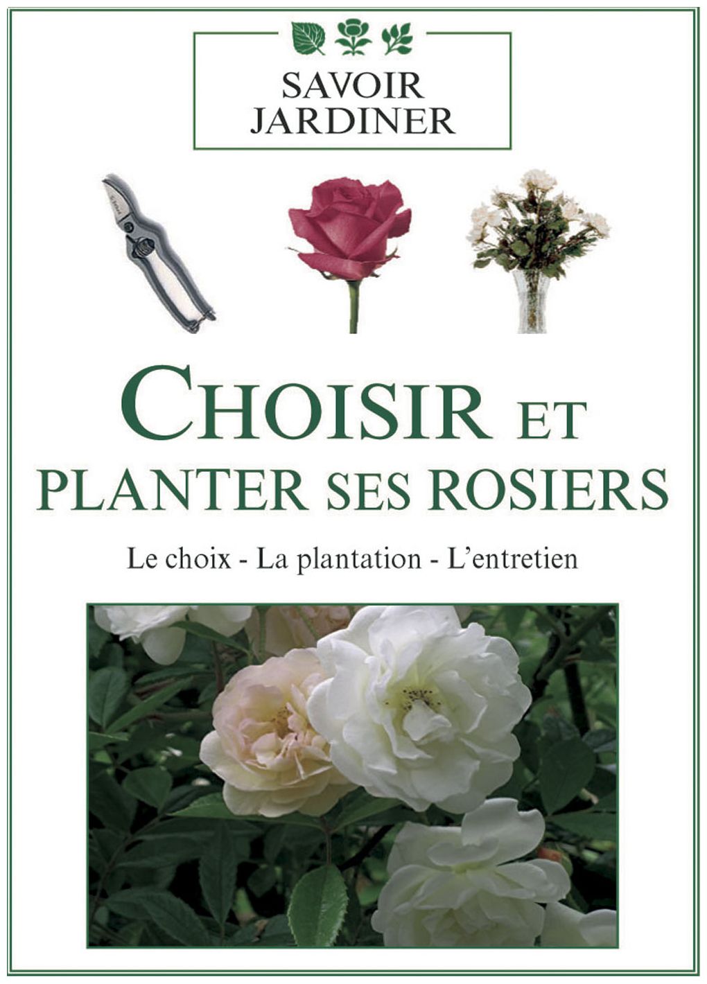 Choisir Et Planter Ses Rosiers [DVD] - flash vidéo