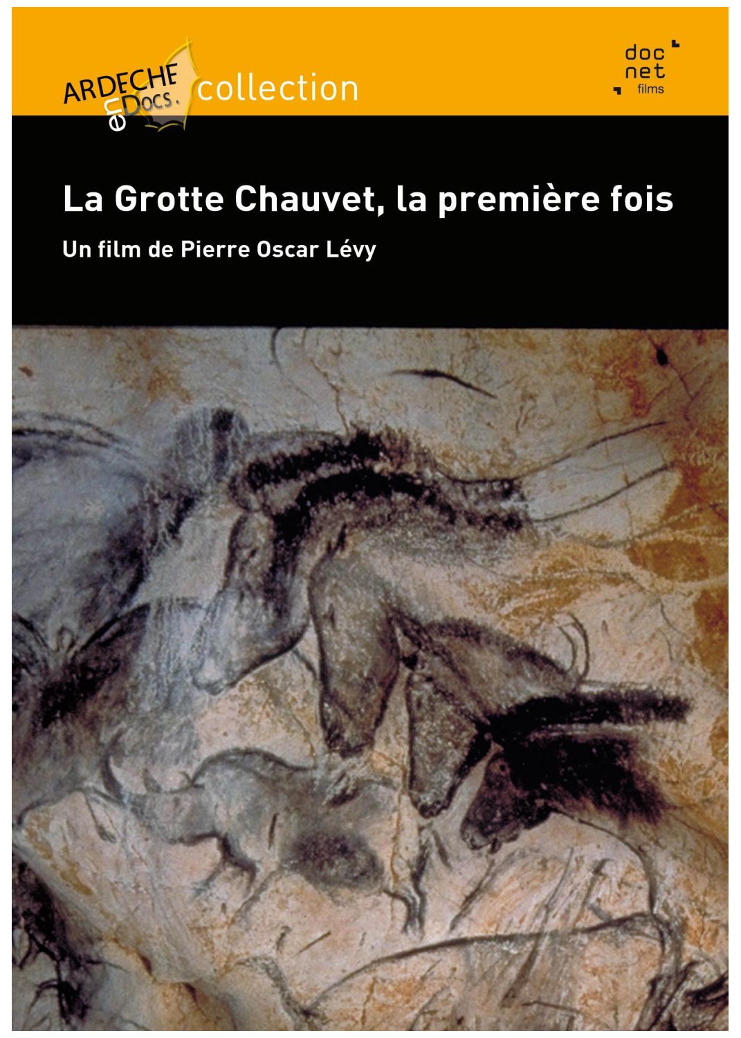 La Grotte Chauvet La Première Fois [DVD] - flash vidéo