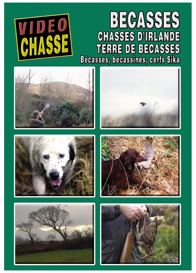 Bécasse : Chasses D'Irlande Terre De Bécasses [DVD] - flash vidéo