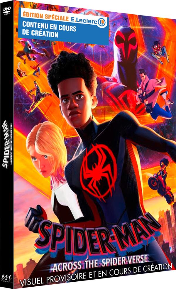 Spider-Man : Across the Spider-Verse [DVD]