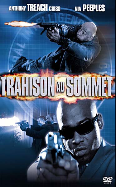 Trahison Au Sommet [DVD] - flash vidéo