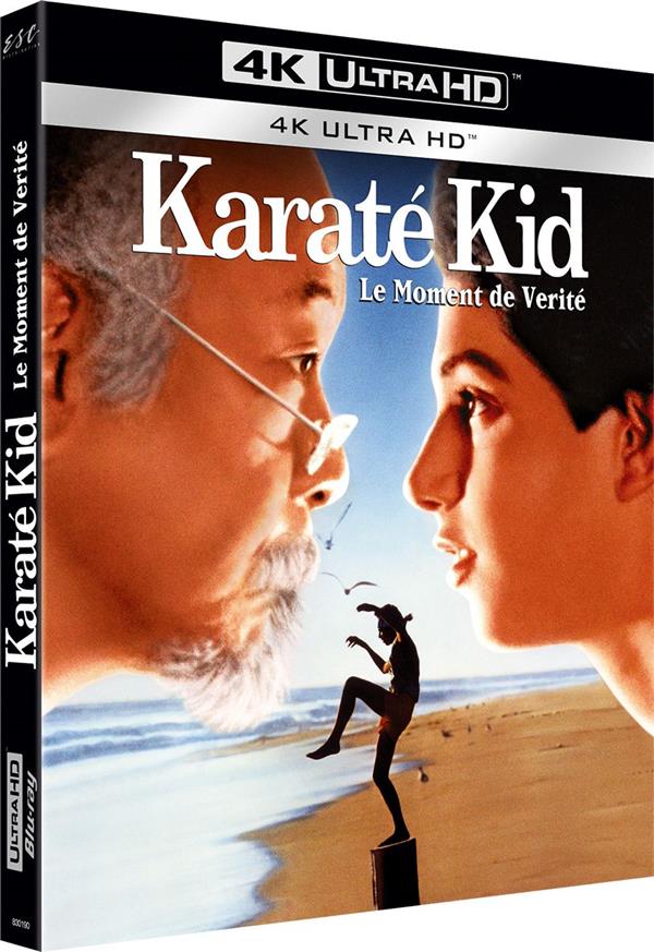 Karate kid [4K Ultra HD] - flash vidéo