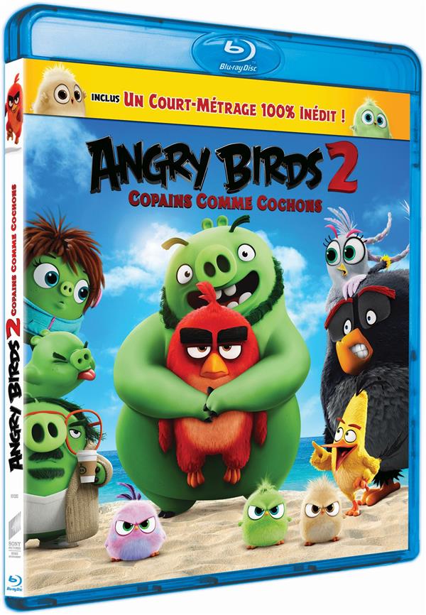 Angry Birds 2 : Copains comme cochons [Blu-ray] - flash vidéo