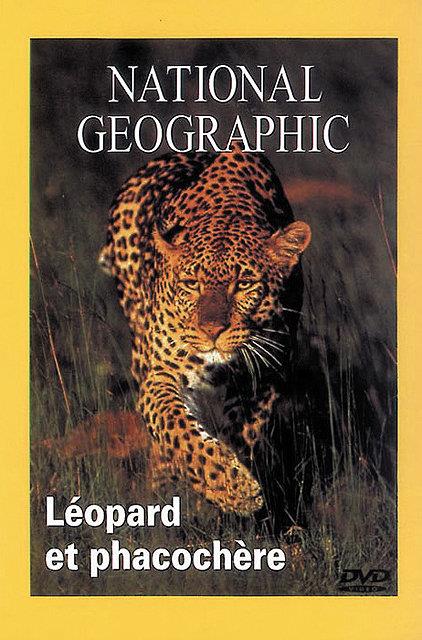 Leopard Et Phacochere [DVD] - flash vidéo