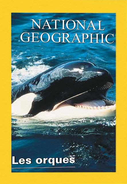 Orques, Predateurs Des Mers [DVD] - flash vidéo