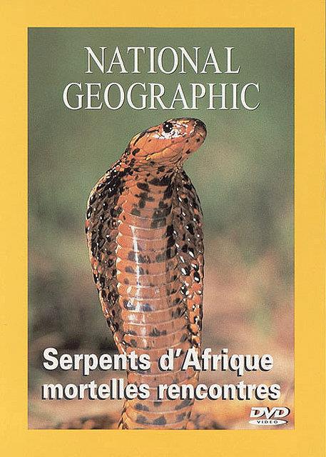 Serpents D'afrique, Mortelle Rencontre [DVD] - flash vidéo