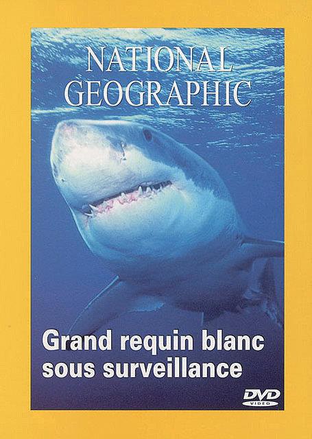 Grands Requins Blancs Sous Surveillance [DVD] - flash vidéo