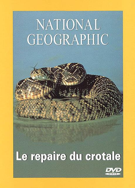 Le Repaire Du Crotale [DVD] - flash vidéo