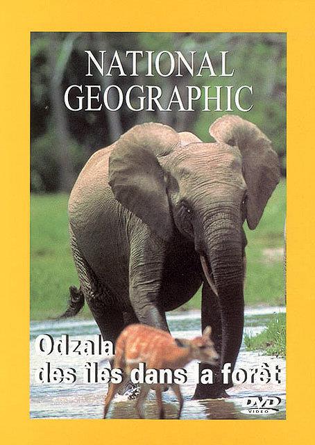 Odzalla Des Iles Dans La Foret [DVD] - flash vidéo