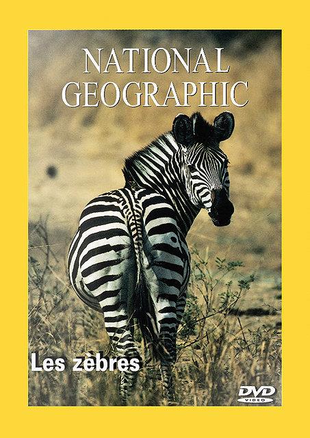 Les Zebres [DVD] - flash vidéo