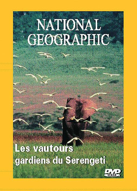 Les Vautours, Gardiens Du Serengeti [DVD] - flash vidéo