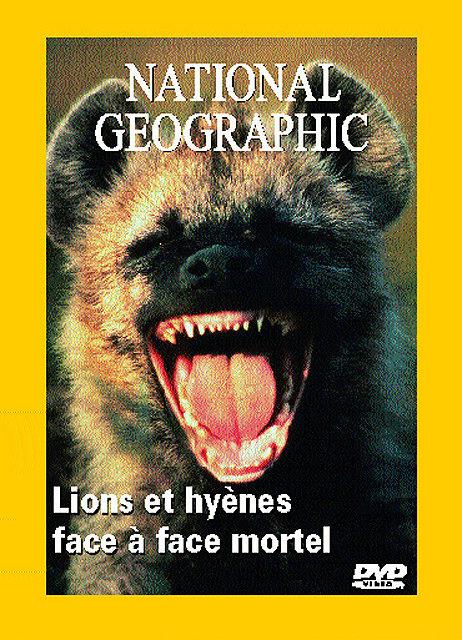 Lions Et Hyenes, Face A Face Mortel [DVD] - flash vidéo