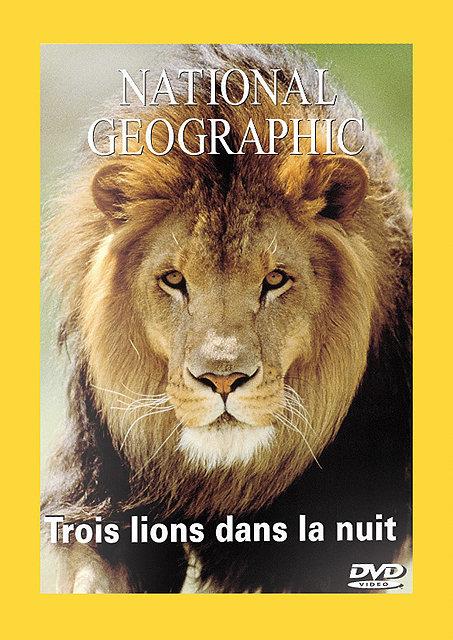 Trois Lions Dans La Nuit [DVD] - flash vidéo