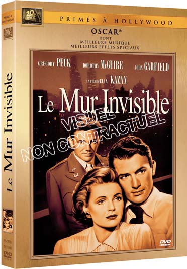 Le Mur Invisible [DVD] - flash vidéo