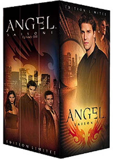 Angel Saison 1a [DVD] - flash vidéo