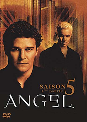 Angel, Saison 5b [DVD] - flash vidéo