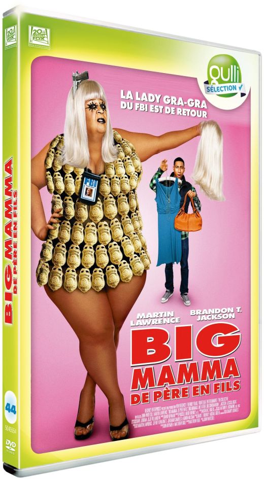 Big Mamma 3 : De Père En Fils [DVD] - flash vidéo