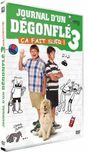 Journal D'un Dégonflé 3 [DVD] - flash vidéo