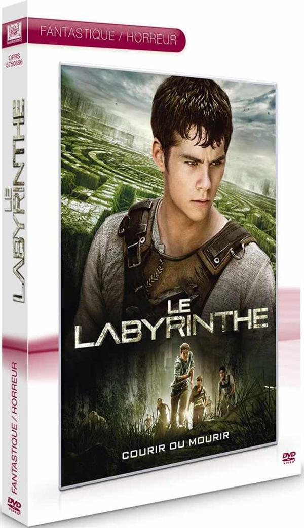 Le Labyrinthe [DVD] - flash vidéo