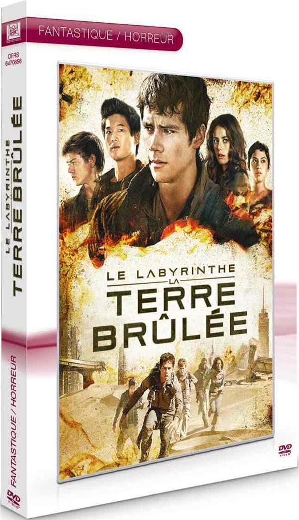 Le Labyrinthe 2 : La Terre Brulée [DVD] - flash vidéo
