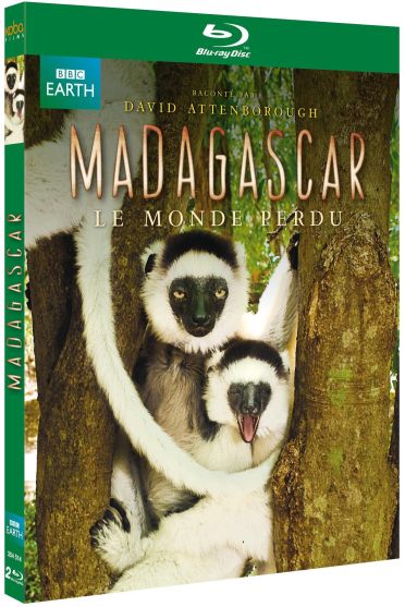 Madagascar - Le monde perdu [Blu-ray] - flash vidéo