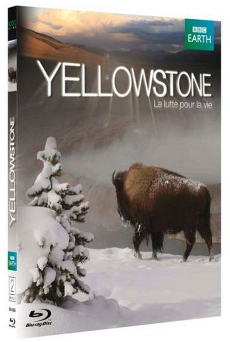 Yellowstone, la lutte pour la vie [Blu-ray] - flash vidéo