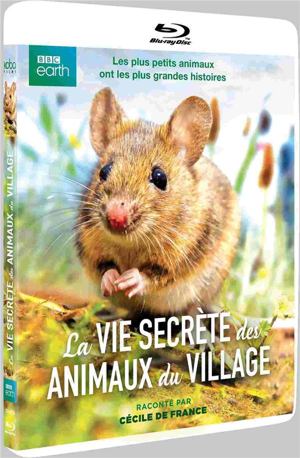 La Vie secrète des animaux du village [Blu-ray] - flash vidéo