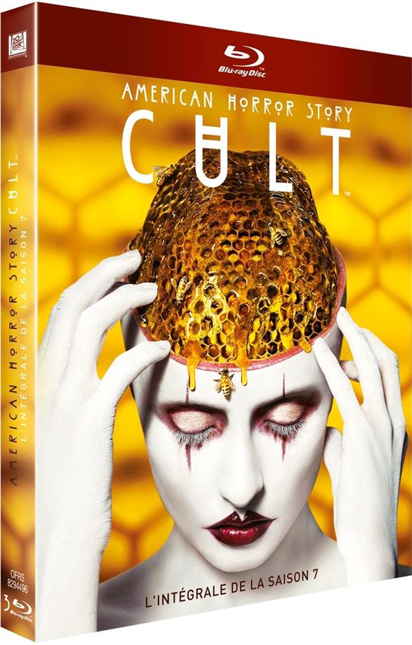 American Horror Story : Cult - L'intégrale de la Saison 7 [Blu-ray] - flash vidéo
