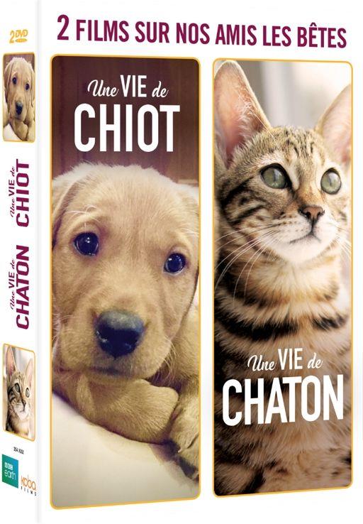 2 films sur nos amis les bêtes : Une vie de chiot + Une vie de chaton [DVD] - flash vidéo