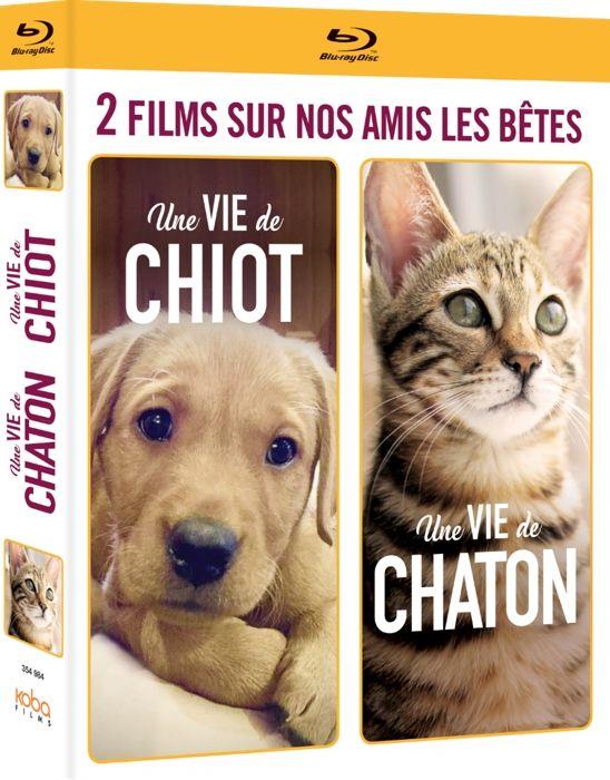 2 films sur nos amis les bêtes : Une vie de chiot + Une vie de chaton [Blu-ray]