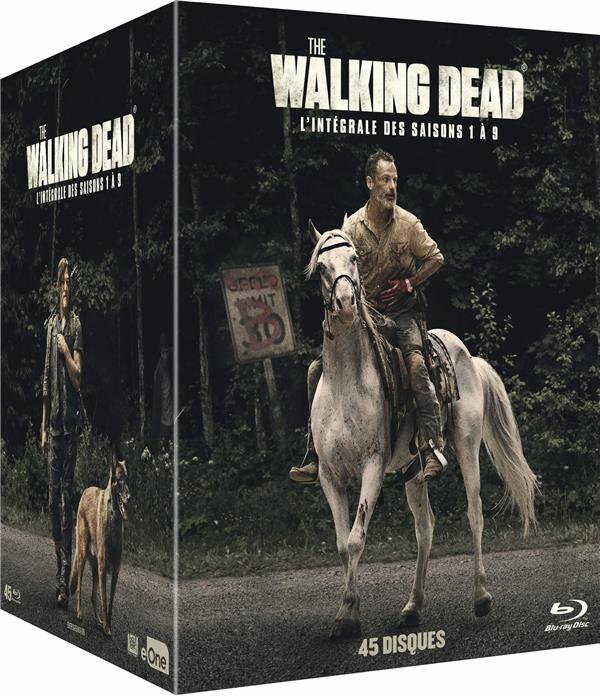 The Walking Dead - L'intégrale des saisons 1 à 9 [Blu-ray] - flash vidéo