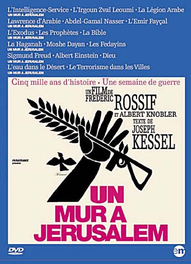 Un Mur à Jérusalem [DVD] - flash vidéo